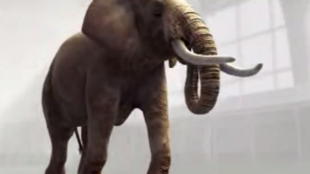 https://freshrevenues.com/wp-content/uploads/2015/07/elephant-tramp-628x353.png